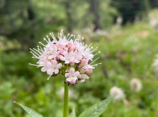 Was ist Cortisol? Alles über das Stresshormon und deine Gesundheit