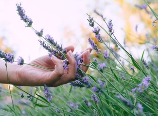 Comment mieux dormir en période de stress et de troubles?