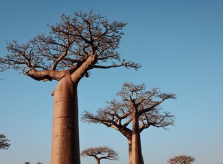 Darmgesundheit & Haut: die überraschende Verbindung