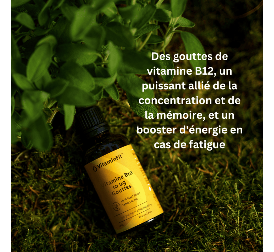 Vitamine B12 10 µg Gouttes