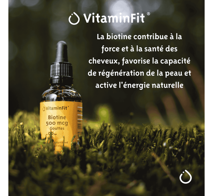 Biotine 500 mcg Gouttes