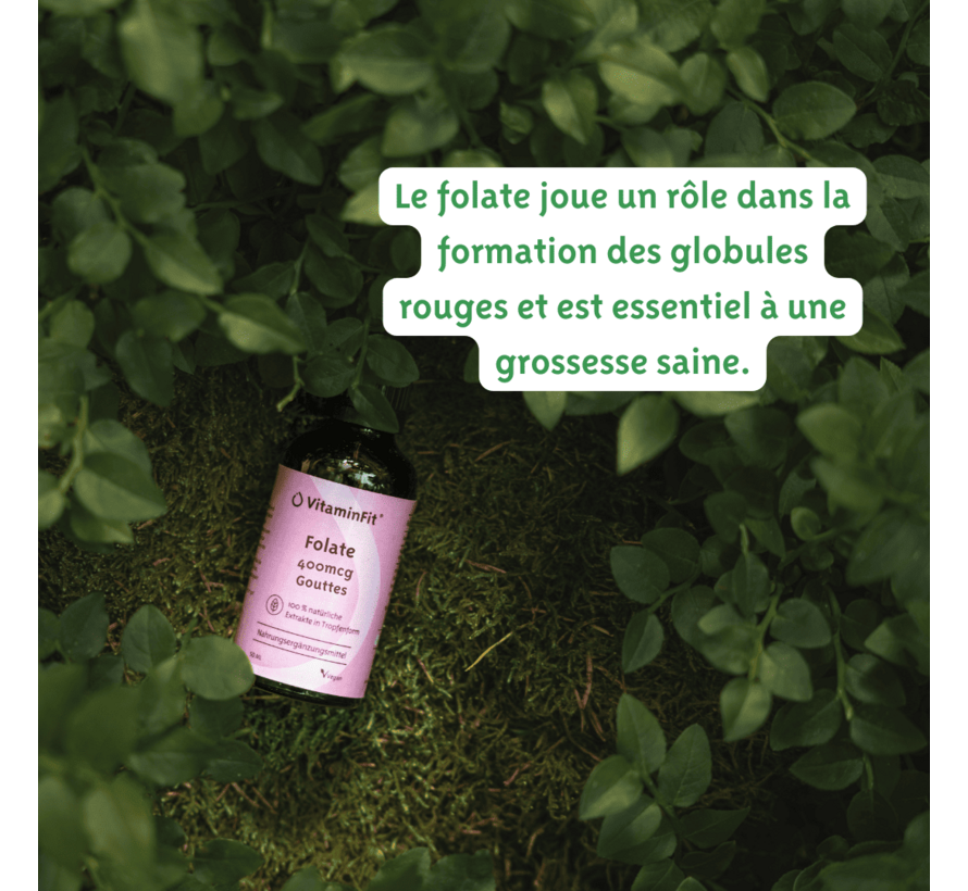 Folate 400 mcg (5 MTHF) Gouttes