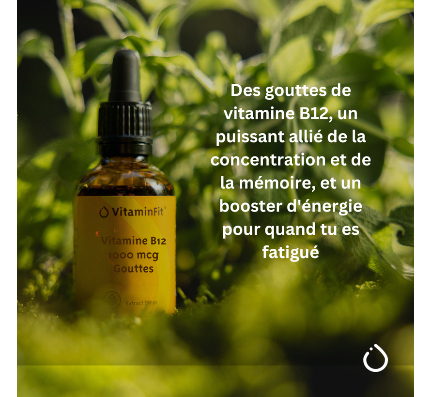 Vitamine B12 1000 mcg Gouttes