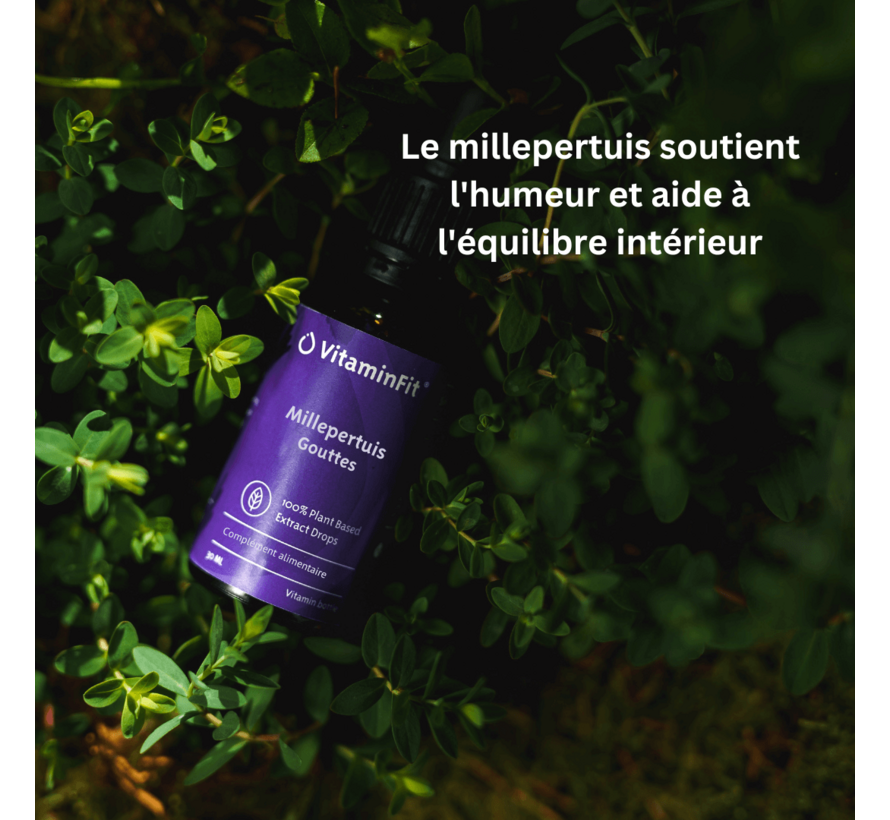 Millepertuis Gouttes