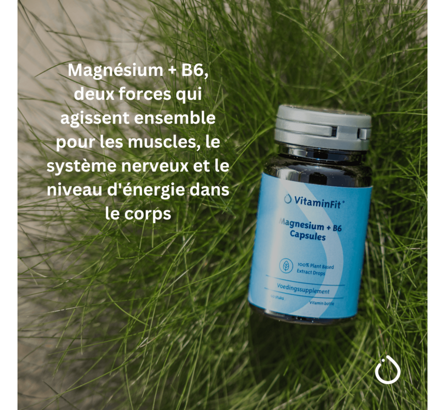 Magnésium + B6 Capsules