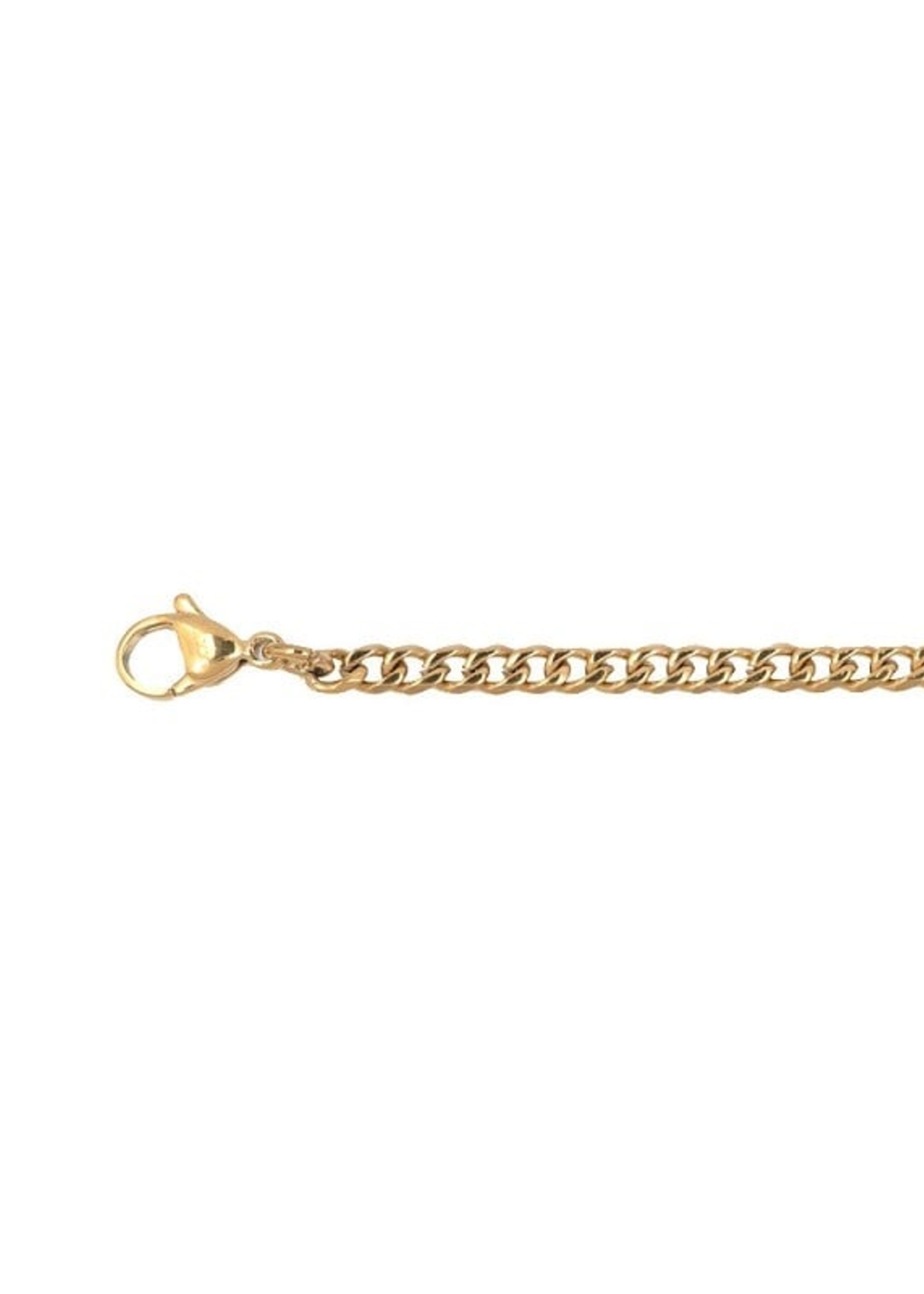 Ixxxi Men Ketting Flat chain