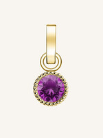 Rosefield pendant gold birthstone february