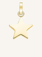 Rosefield pendant gold symbol star