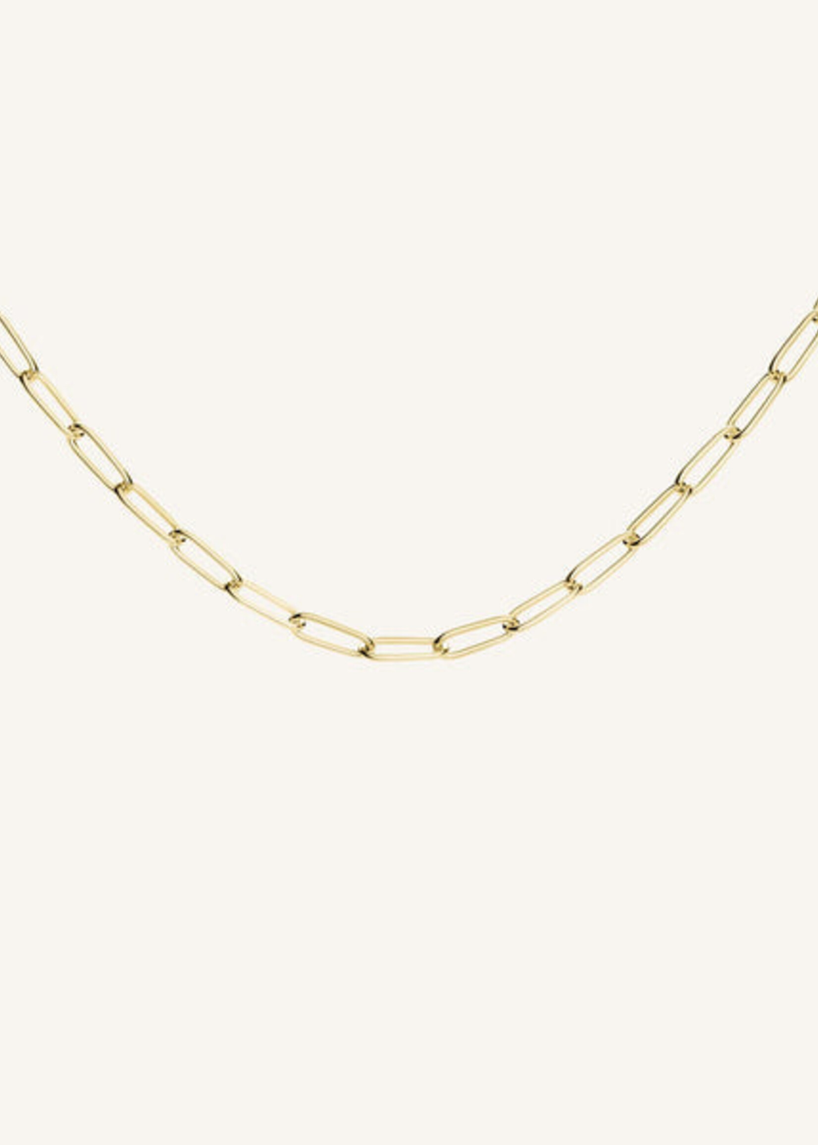 Rosefield rectangle chain necklace gold