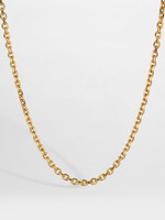 Northern Legacy NL Cable Necklace - Gold Tone