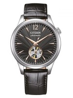 Citizen nh9131-14e