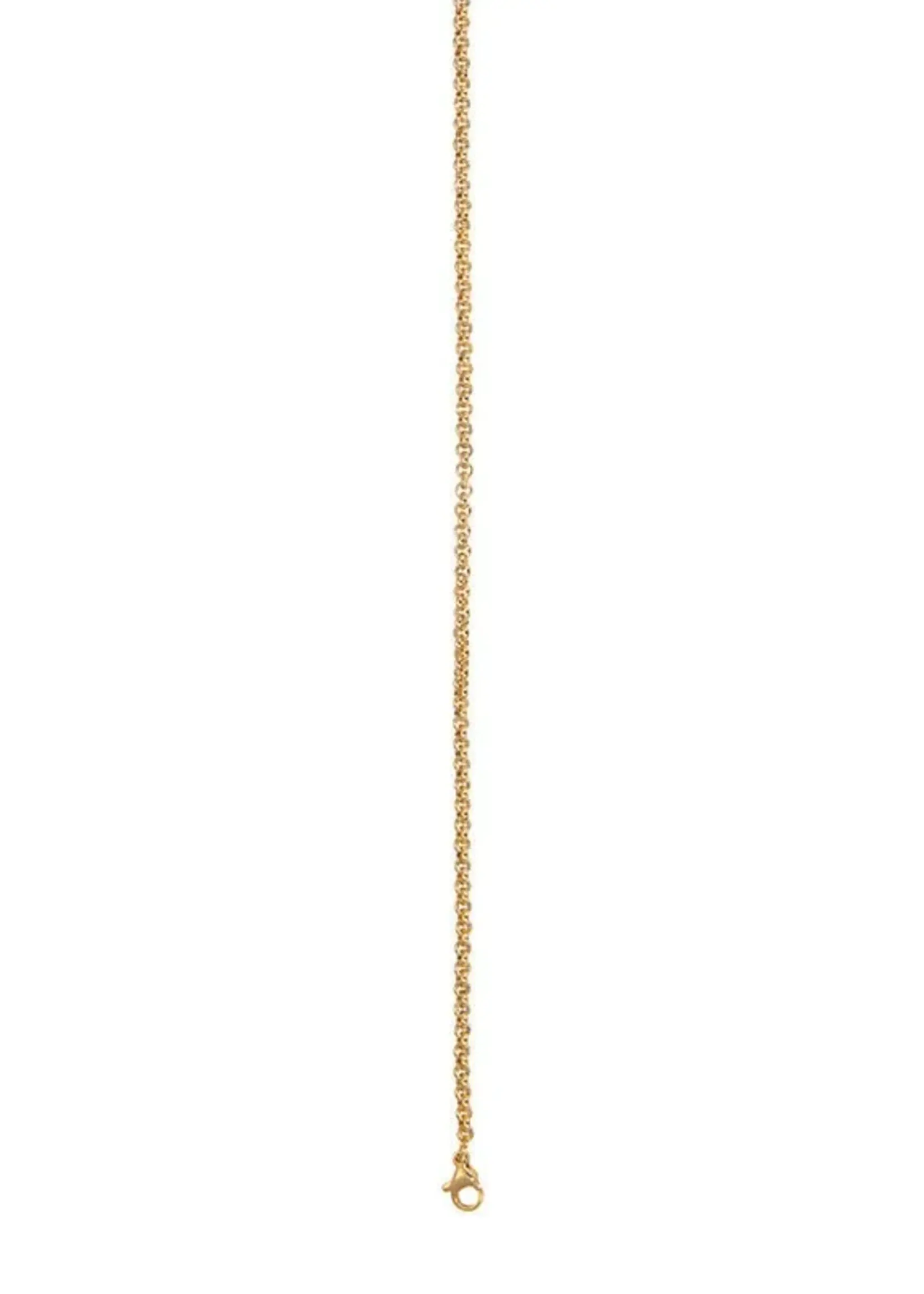 Ixxxi Men Ketting Gold 80cm