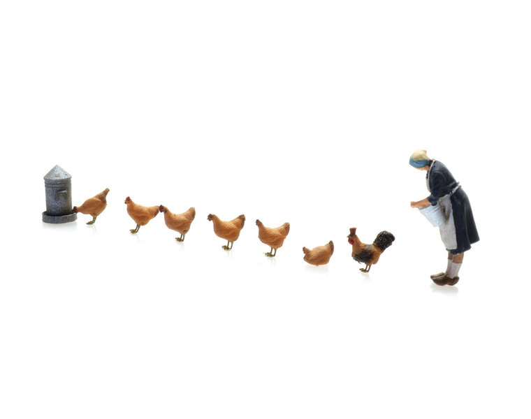Boerin met kippen