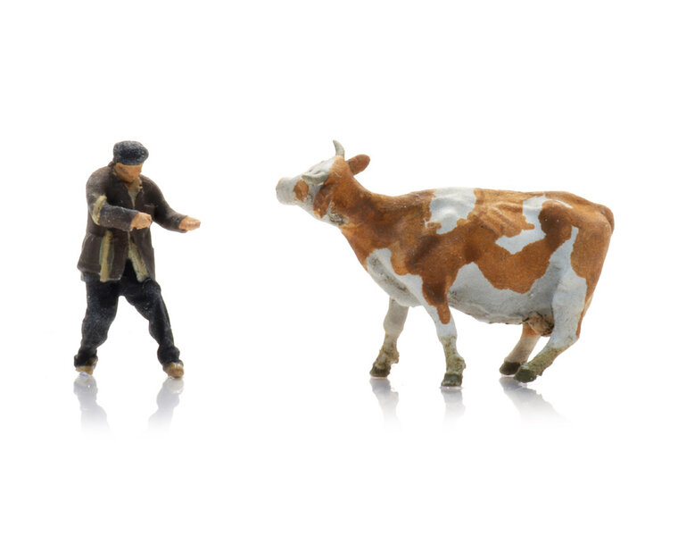 Farmer with obstinate cow