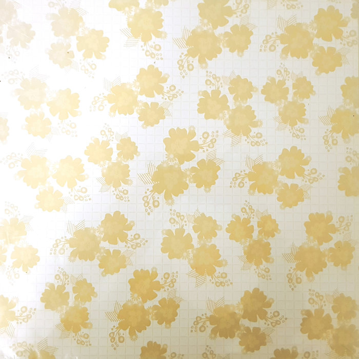 Scrap papier 30,5x30,5 10 vellen