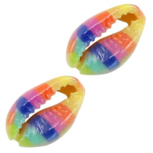 Schelp kralen specials Kauri Rainbow multicolour