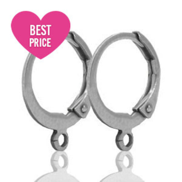 Roestvrij stalen (RVS) stainless steel sluitbare oorringen met oog Silver