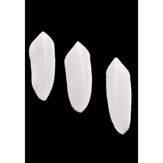 Veren 7x2cm 20st in zakje