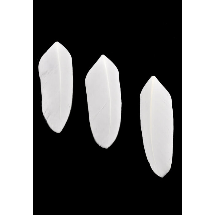 Veren 7x2cm 20st in zakje