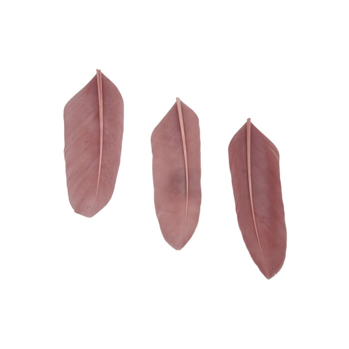 Veren 7x2cm 20st in zakje