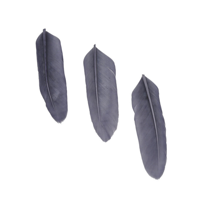 Veren 7x2cm 20st in zakje