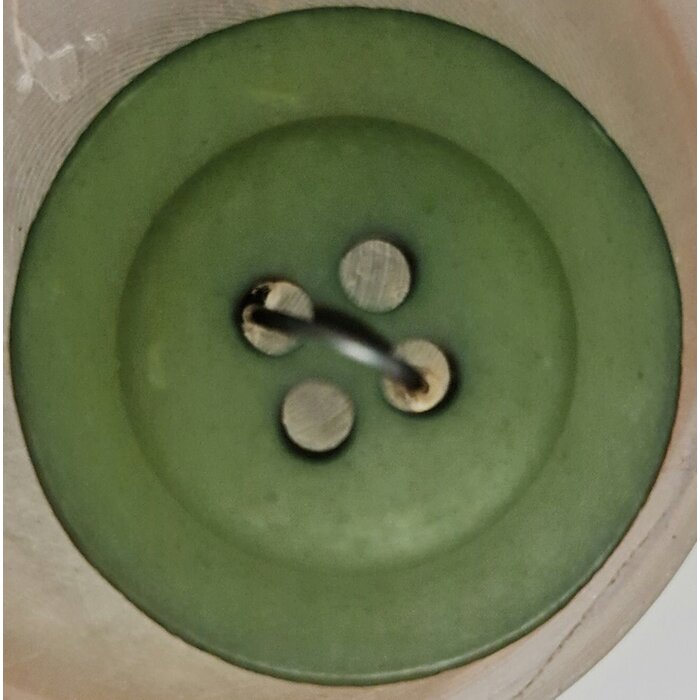 Knopen mos groen met randje 21mm 4 gaats