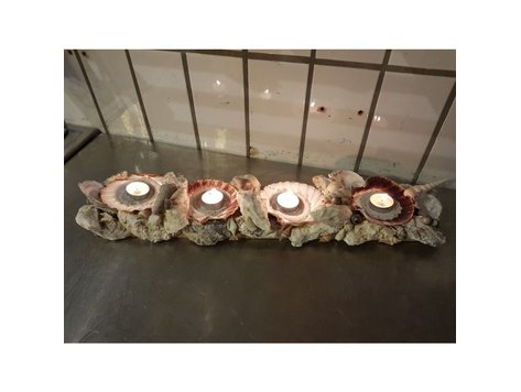 Schelpenplank/Amuseplank