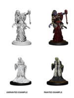 Wizkids D&D Nolzur's Marvelous Miniatures Green Hag & Night Hag