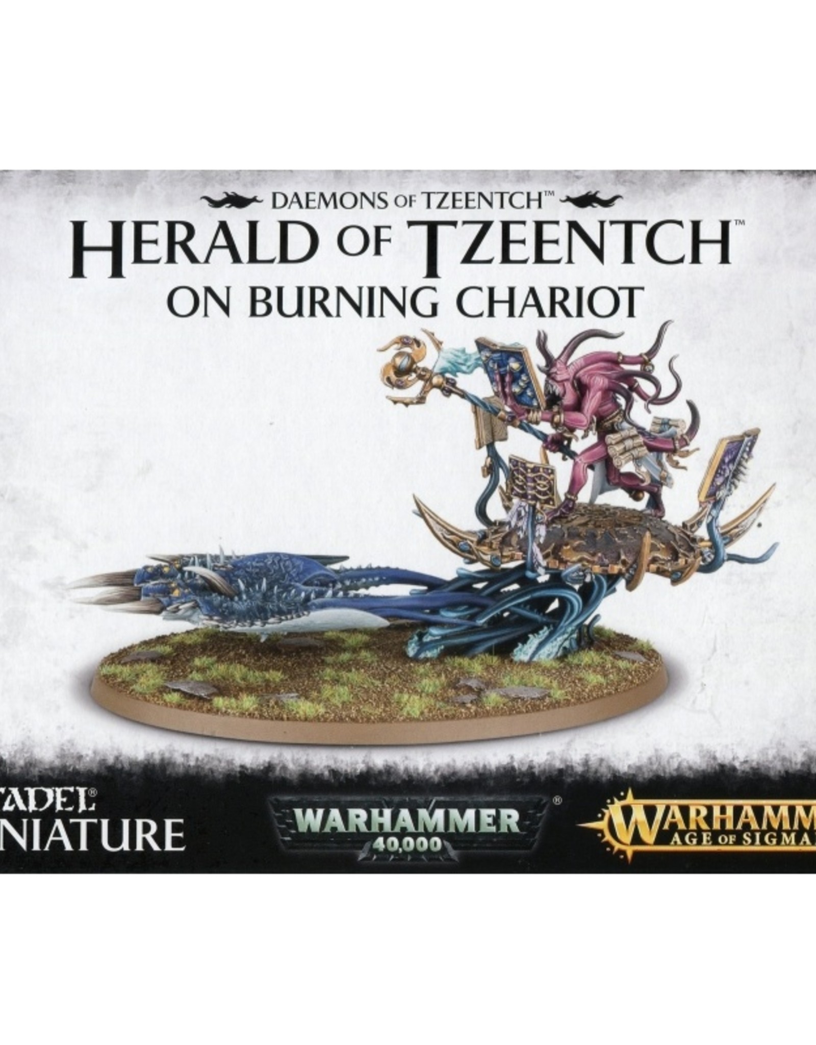 Games Workshop Daemons of Tzeentch Herald on Burning Chariot