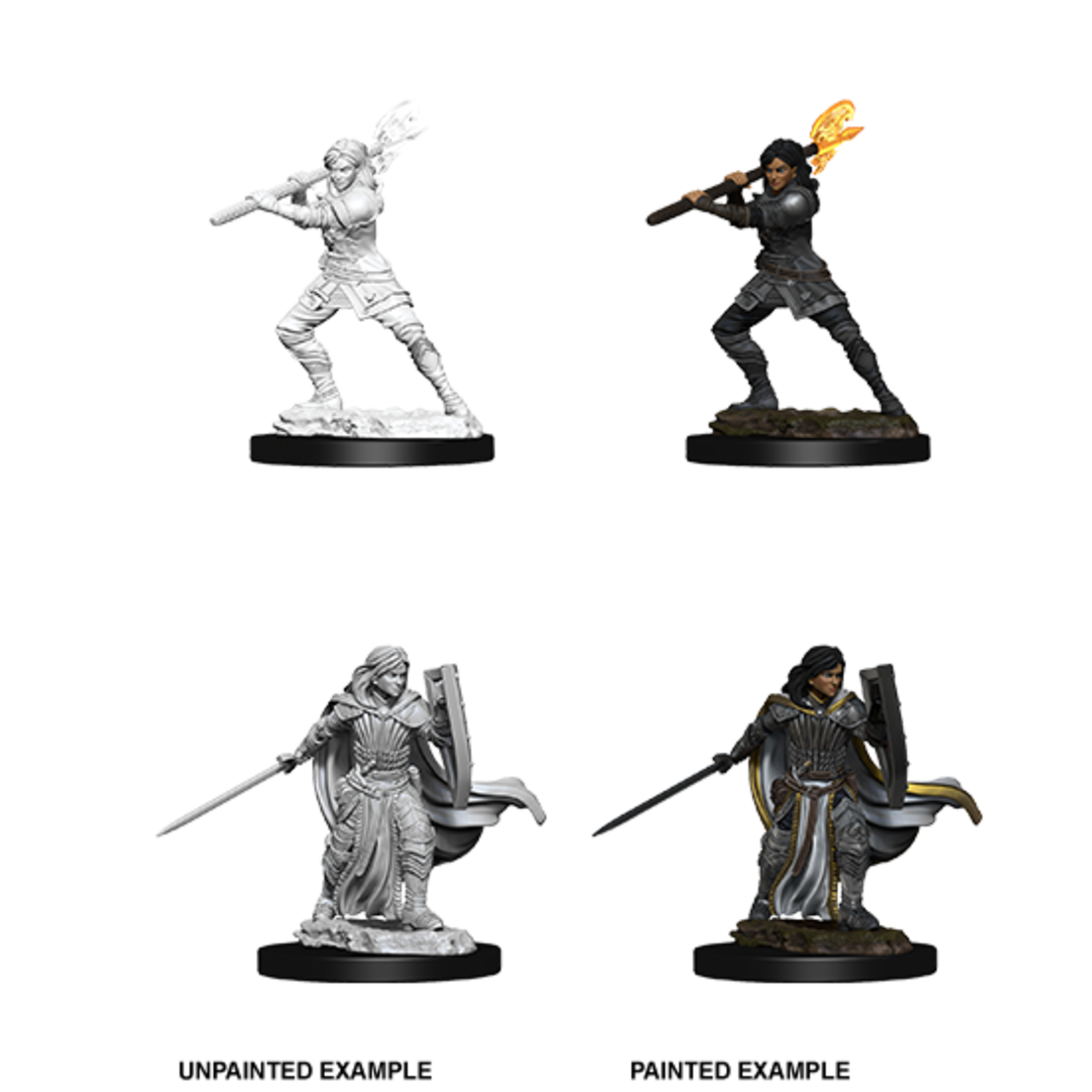 Wizkids D&D Nolzur's Marvelous Miniatures Human Paladin Female