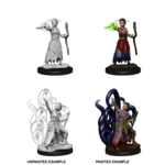 Wizkids D&D Nolzur's Marvelous Miniatures Human Warlock Female