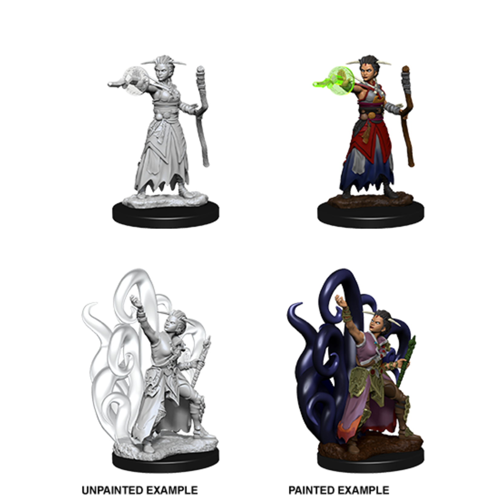 Wizkids D&D Nolzur's Marvelous Miniatures Human Warlock Female