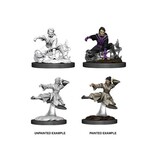 Wizkids D&D Nolzur's Marvelous Miniatures Human Monk Female