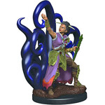 Wizkids D&D Icons of the Realms Human Warlock, Female **