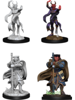 Wizkids D&D Nolzur's Marvelous Miniatures Hobgoblin Devastator and Iron Shadow