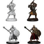 Wizkids D&D Nolzur's Marvelous Miniatures Human Barbarian Male 2