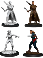 Wizkids D&D Nolzur's Marvelous Miniatures Shifter Rogue Female