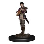 Wizkids D&D Icons of the Realms Half-Elf Bard, Female