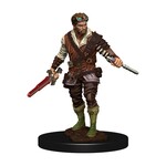 Wizkids D&D Icons of the Realms Human Rogue, Male
