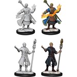 Wizkids D&D Nolzur's Marvelous Miniatures Half-Elf Wizard Male