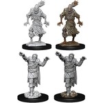 Wizkids D&D Nolzur's Marvelous Miniatures Scarecrow & Stone Cursed