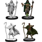 Wizkids D&D Nolzur's Marvelous Miniatures Human Druid Male