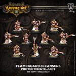 Privateer Press Flameguard Cleansers
