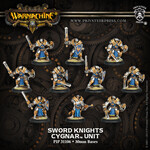 Privateer Press Sword Knights