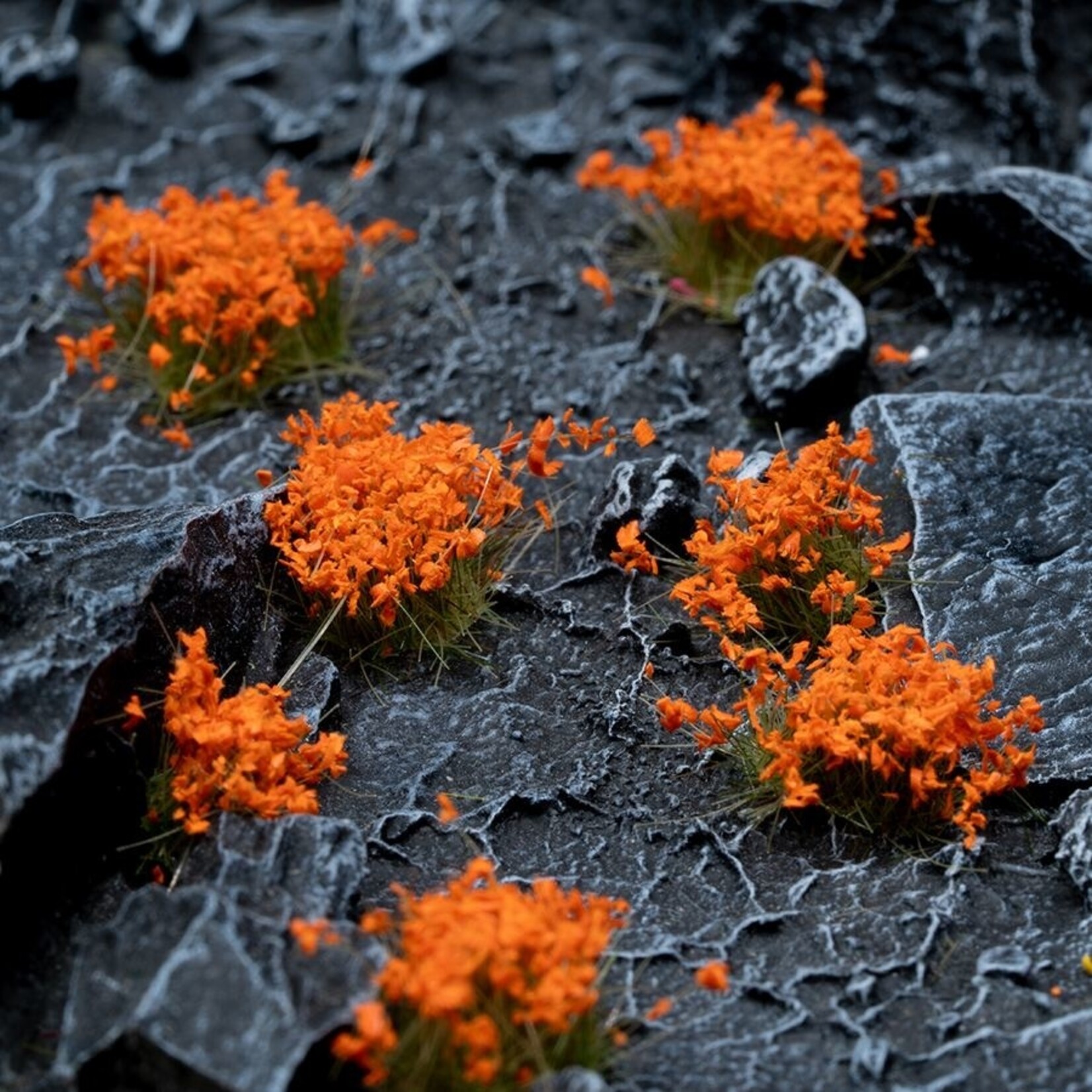 Gamers Grass Orange Flowers Wild **