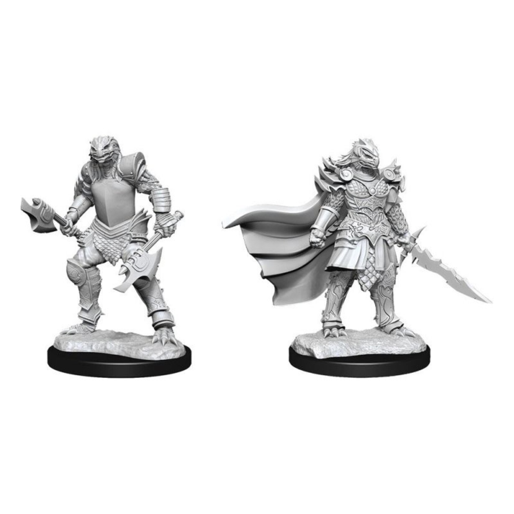 Wizkids D&D Nolzur's Marvelous Miniatures Dragonborn Fighter Female