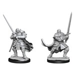 Wizkids D&D Nolzur's Marvelous Miniatures Half-Orc Paladin Male