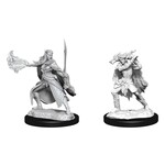 Wizkids D&D Nolzur's Marvelous Miniatures Winter Eladrin & Spring Eladrin