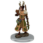 Wizkids D&D Icons of the Realms Human Druid, Female **