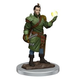 Wizkids D&D Icons of the Realms Half-Elf Bard, Male
